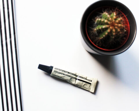 Aesop Rosehip Seed Lip Cream